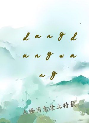 dangdangwang