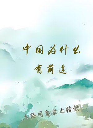 中国为什么有前途