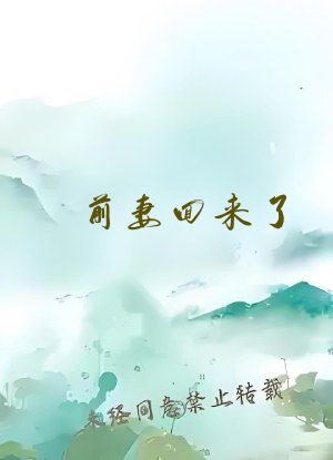 前妻回来了