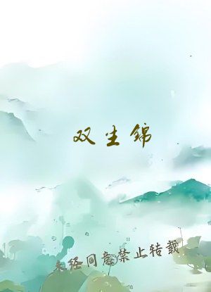 双生锦