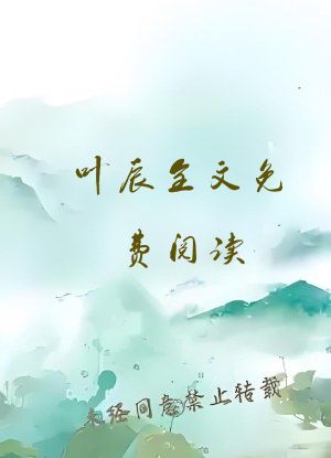 叶辰全文免费阅读