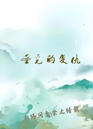 圣光的复仇