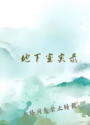 地下室实录