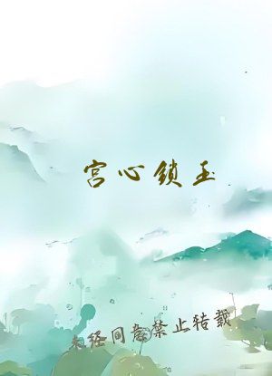 宫心锁玉