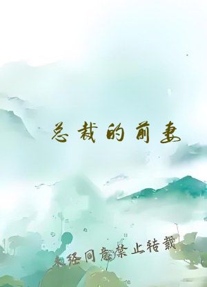 总裁的前妻