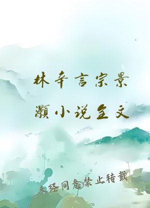 林辛言宗景灏小说全文