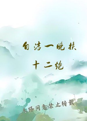 白洁一晚挨十二炮