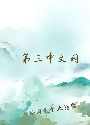 第三中文网
