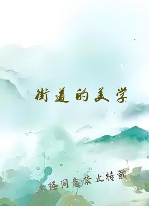 街道的美学