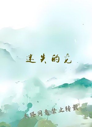 迷失的光