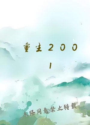 重生2001