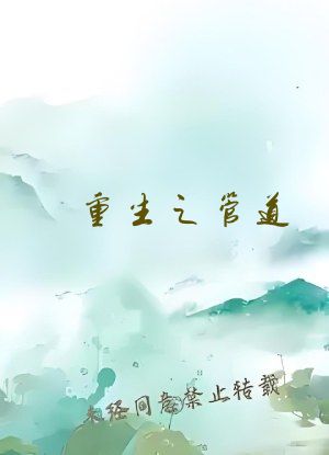 重生之管道