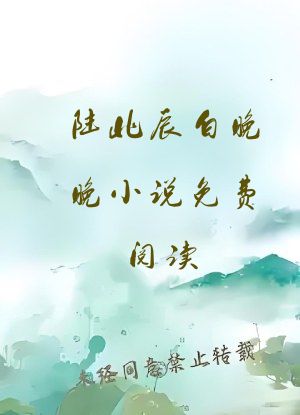 陆北辰白晚晚小说免费阅读