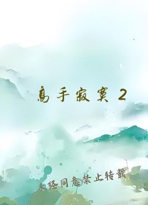 高手寂寞2